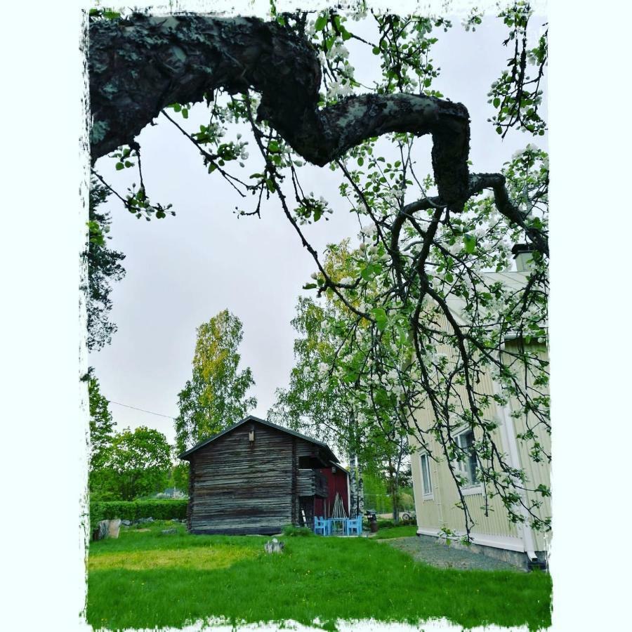 Willa Mustijoki Laukkoski 外观 照片